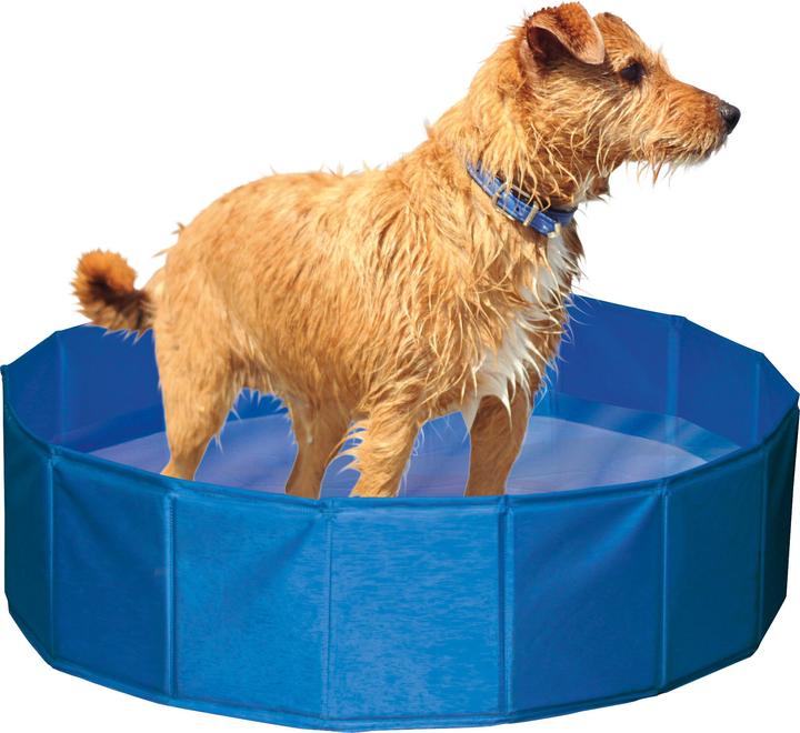 Produktbild Kerbl Hundepool (Hundepool)