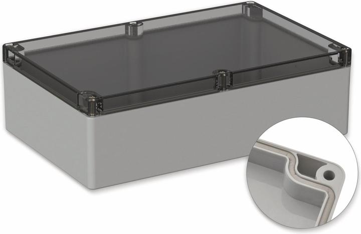 Pollini Armadio, 5U250310, 300x230x85 mm POLLIN, IP66, grigio chiaro, coperchio trasparente (Case)