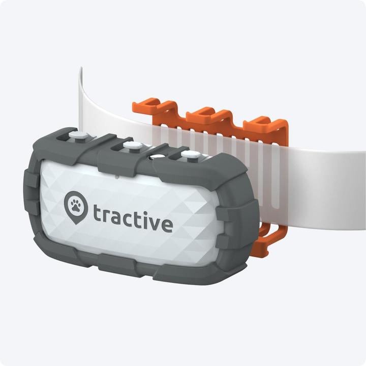 Actual product image Tractive GPS Dog (XL, Dog, Dog sport, Walks, Jogging)