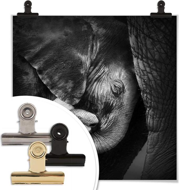 Image du produit Trenddeko Le bébé éléphant (60 x 60 cm)