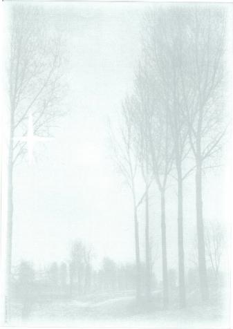 Actual product image Artoz Paper design mourning birches (90 g/m²)