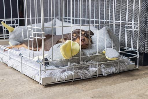 Productafbeelding Beeztees Puppy kooi (Hond, Wasbaar, Reflectoren)