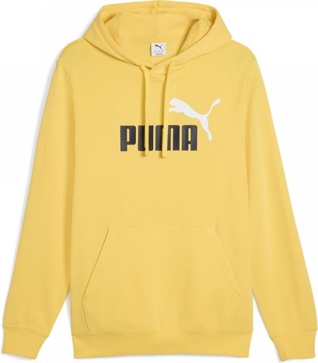 Puma ESS 2 COLOR No. 1 Logo Hoodie TR