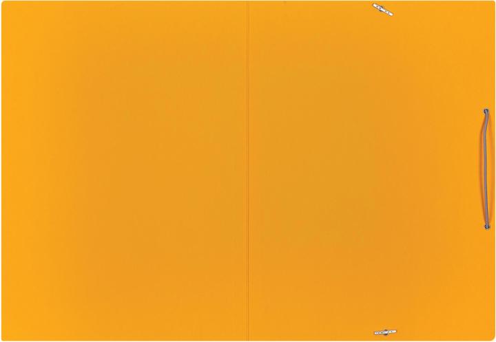 Produktbild Elba Sammelmappe Karton (A4, 1 x)