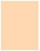 Actual product image MAC Cosmetics Studio Fix 24-Hour Smooth Wear Concealer (No. NW15)