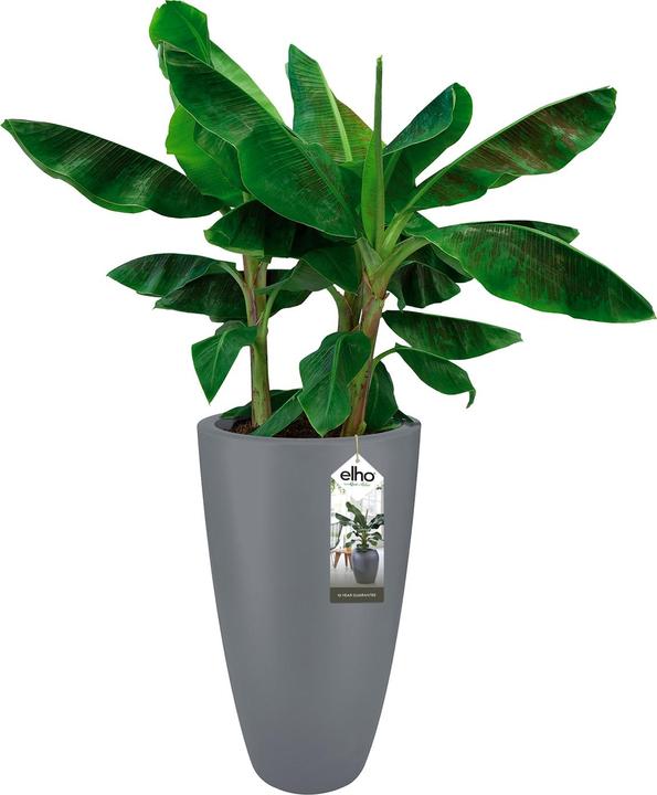 Immagine prodotto Elho Pure Soft (39 cm)