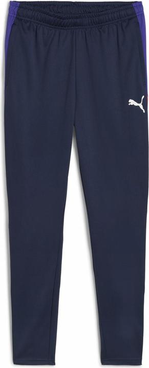 Actual product image Puma IndividualLIGA Training Pants (XL)