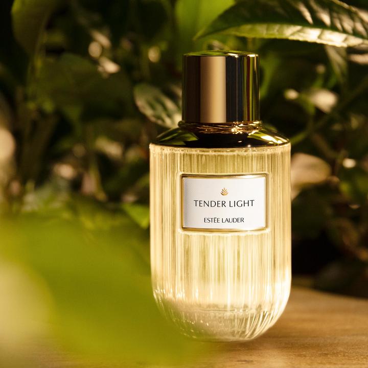 Actual product image Estée Lauder Luxury Fragrance Tender Light (Eau de parfum, 100 ml)