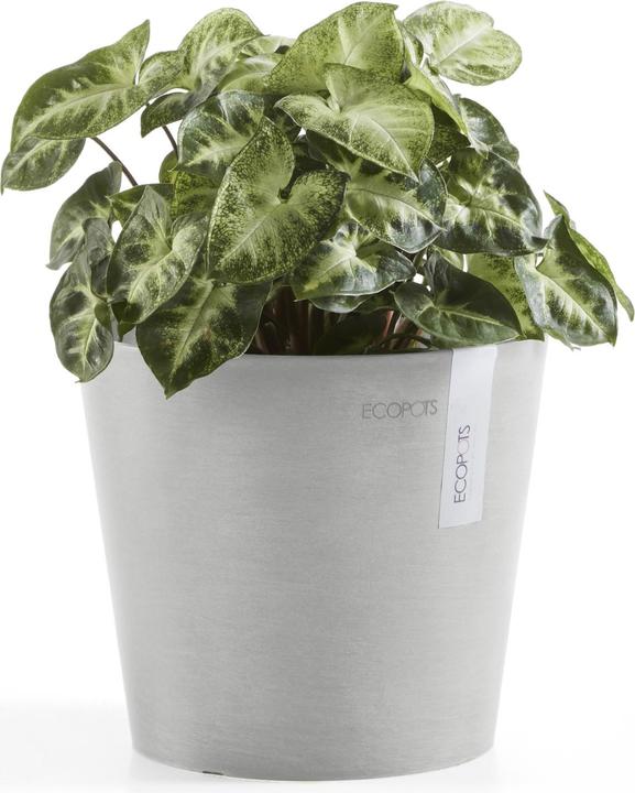 Produktbild Ecopots Amsterdam Mini (17 cm)