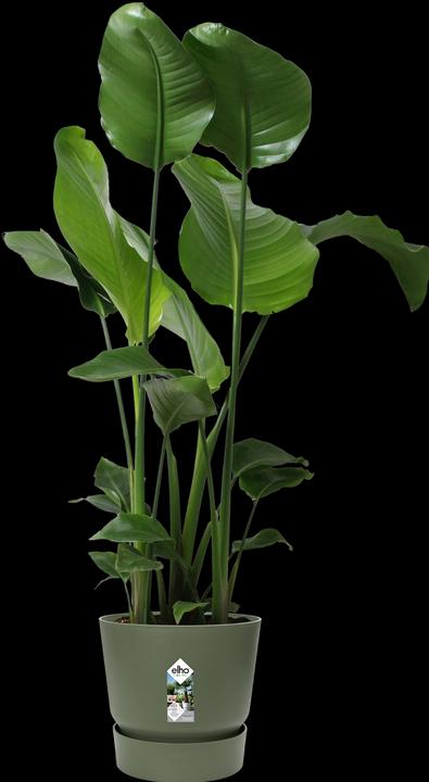 Immagine prodotto Elho vasi da fiori (29.50 cm)