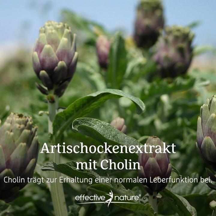 Produktbild Effective Nature Artischocken Extrakt mit Cholin (90 Stück, Kapseln, 90 g)