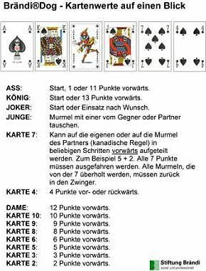 Image du produit Brändi Dog Guide de démarrage rapide