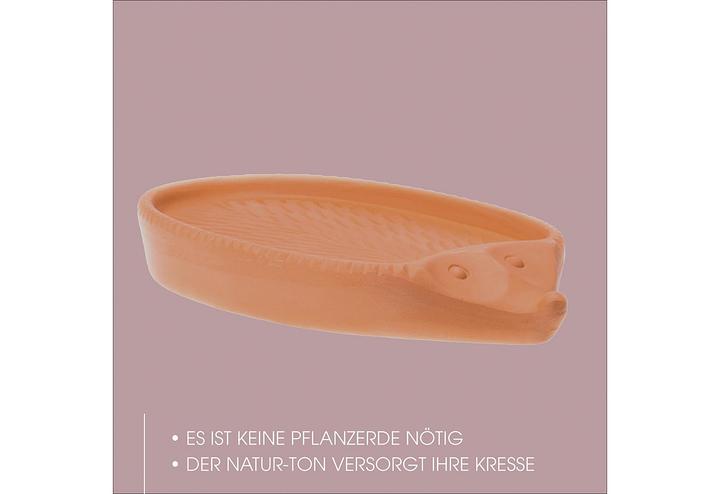 Actual product image Römertopf Cress hedgehog