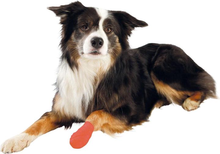Image du produit Trixie Bandages (Chien)