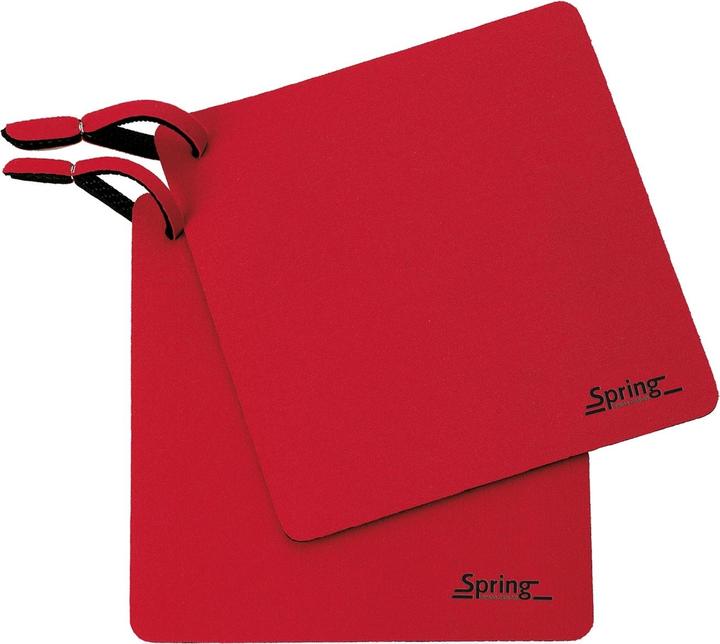 Actual product image Spring Brains (Plastic)