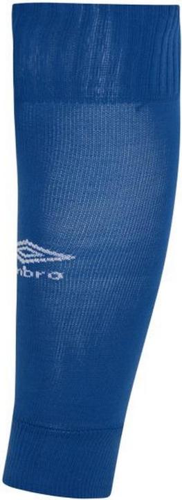 Bleu roi