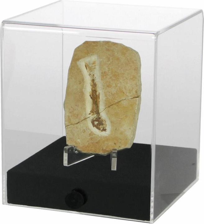 Produktbild Safe Acryl-Vitrine cube 12 x 12 x 14 cm