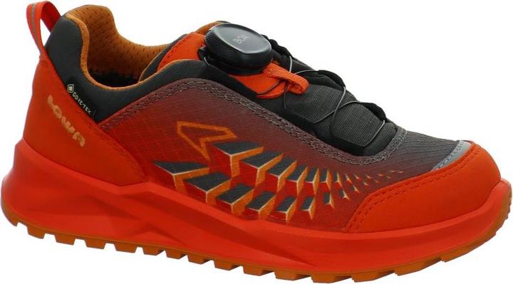 Produktbild Lowa Ferrox GTX LO (31)