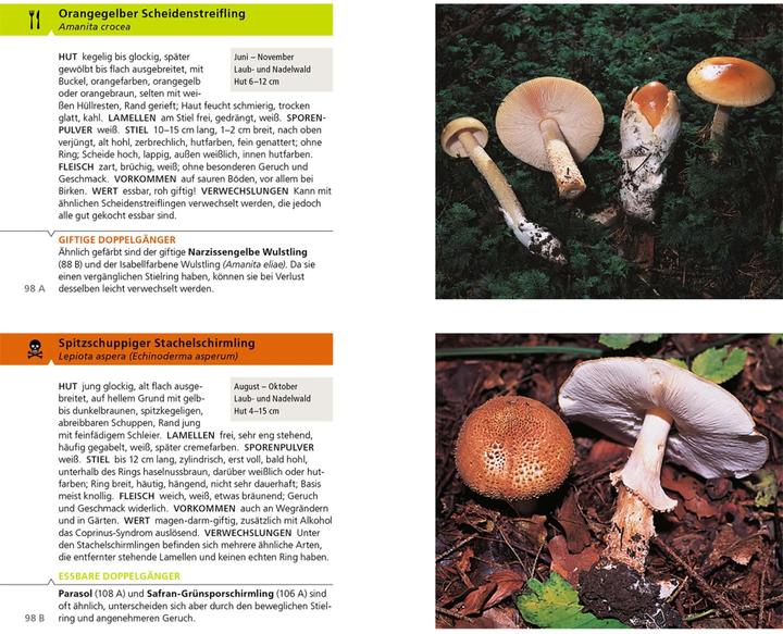 Produktbild Kosmos Essbare Pilze und ihre giftigen Doppelgänger (Deutsch, Hans E. Laux, Andreas Gminder, 2022)