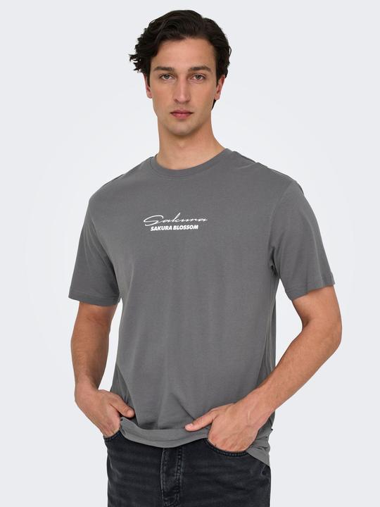 Produktbild Only & Sons Onskeane Rlx Ss Print Tee Noos (XL)