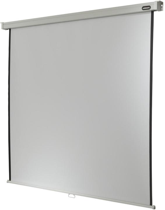 Celexon Rollo Professional, Leinwand, 1:1 (87.68", 1:1)