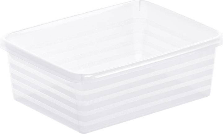 14.5 x 6 x 19 cm
