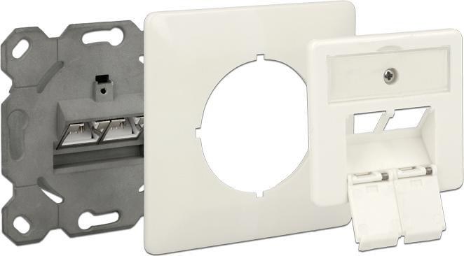 Image du produit Delock Boîte de raccordement réseau encastrée 2 ports Cat.6A LSA
