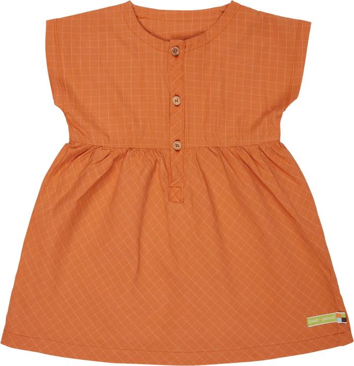 Actual product image loud + proud Fine check dress (110)