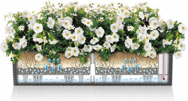 Image du produit Lechuza Balconera Cottage (19 cm)