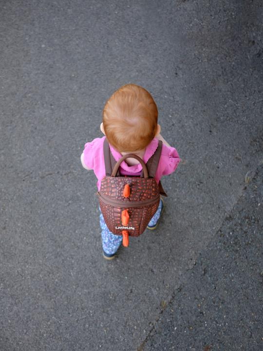 Actual product image Littlelife Toddler Backpack