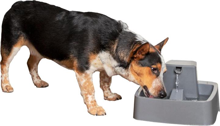 Image du produit Sportdog Drinkwell 3.7 Litre Pet Fountain - Adaptateur EU (3.70 l)