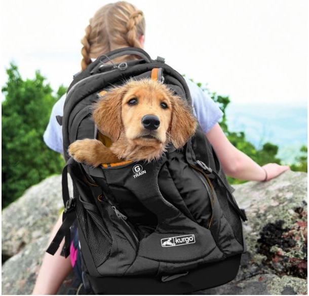 Actual product image Kurgo G-Train K19 (Dog, Breathable)