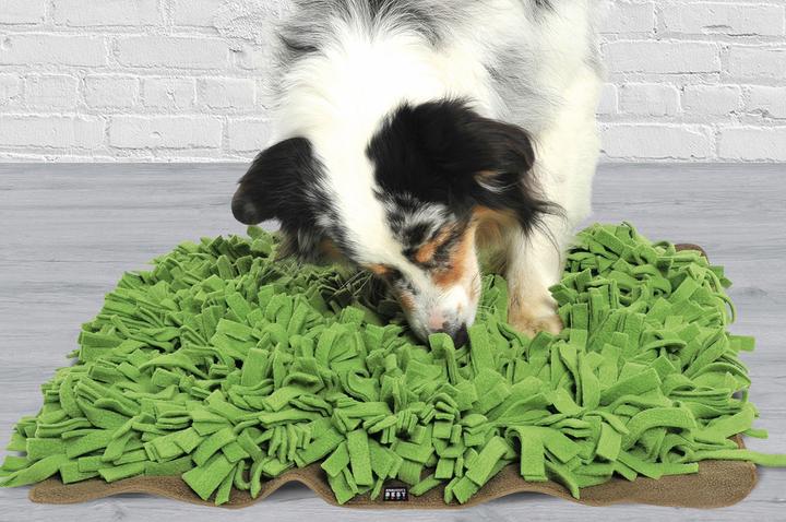 Produktbild Knauder's Best Schnüffelrasen (Beschäftigungsspielzeug Hund)