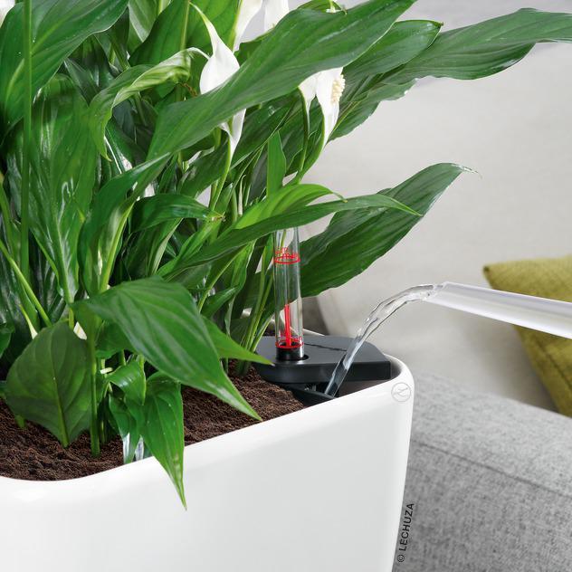 Produktbild Lechuza Quadro LS (28 cm)