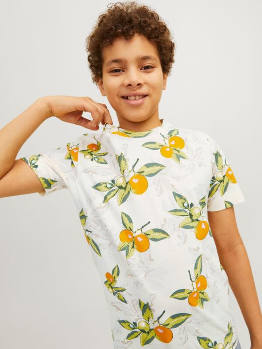 Produktbild Jack & Jones Jortampa Aop Tee Ss Crew Neck Jnr (152)