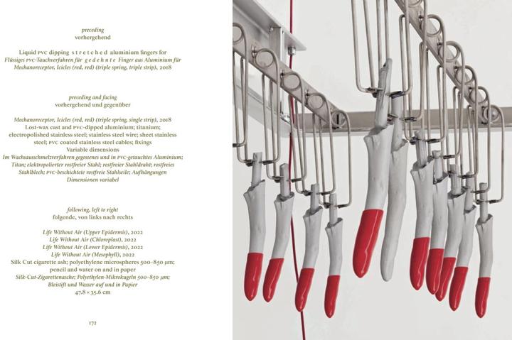 Immagine prodotto Alice Channer (Tedesco, Inglese, Stefanie Gschwend/ Museo d'arte/Galleria d'arte di Appenzello, Alice Channer, 2023)