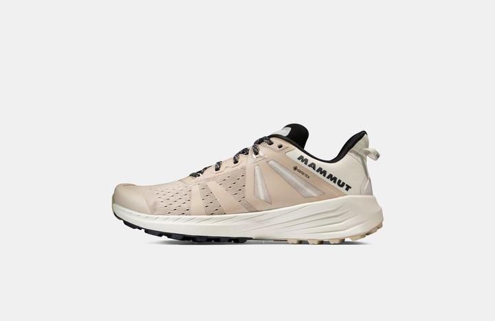 Immagine prodotto Mammut Saentis TR Low GTX Uomo (45.5)