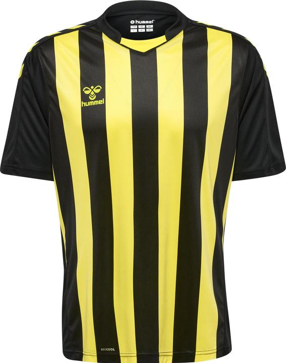 hummel Core Xk Striped Jersey S/S