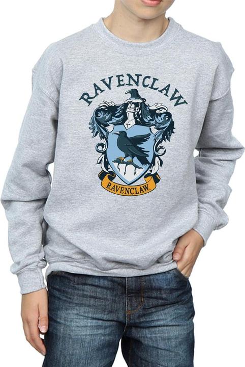 Produktbild Sweatshirt Jungen (116)