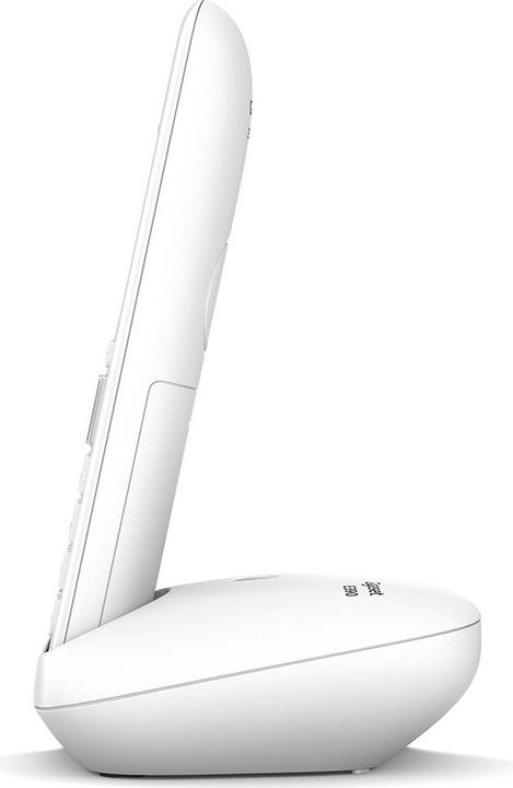 Immagine prodotto Gigaset E390 (CH-Version)