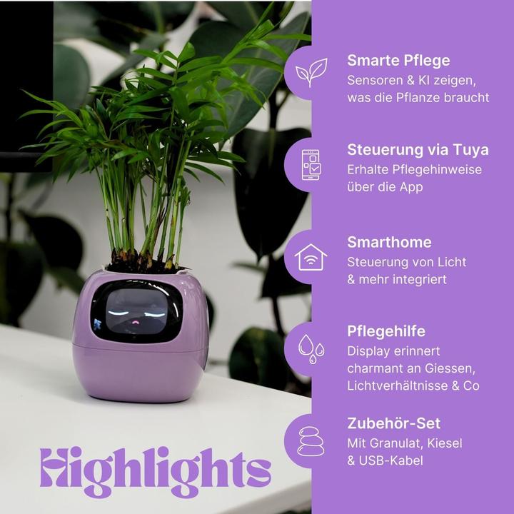 Actual product image Hermex Ivy Smart Planter (11 cm)