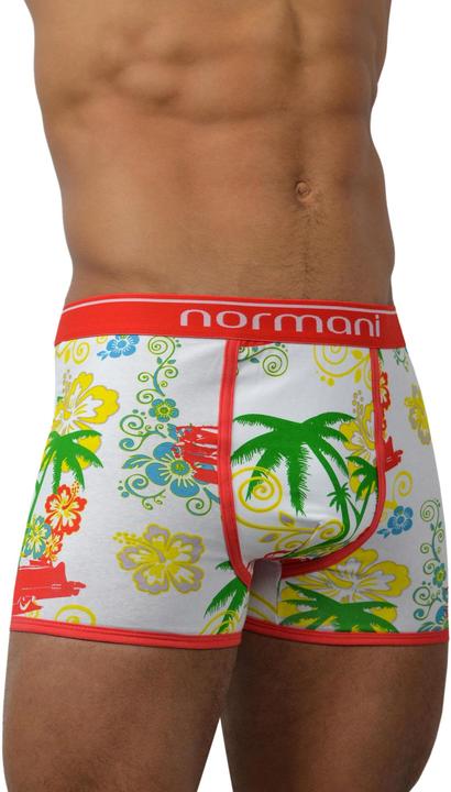 Actual product image Normani 6 Piece Retro Cotton Boxer Shorts (M, pack of 6)