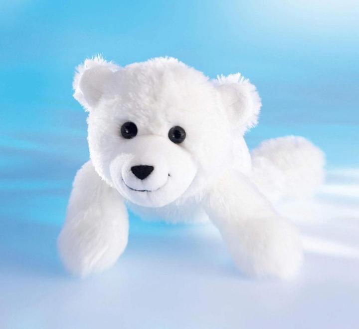 Produktbild Schaffer Eisbär Knut Knuddel (26 cm)