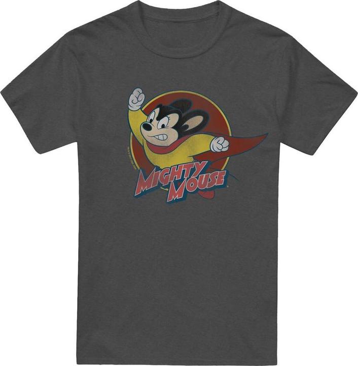 Actual product image Fruit of the Loom Unisex Adult Circle T-Shirt (M)