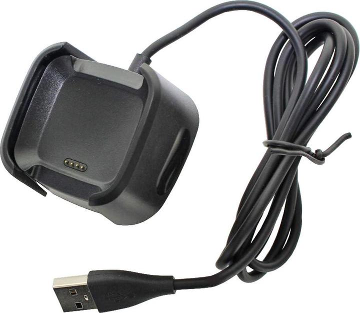 Actual product image AccuCell Charger Fitbit Versa with USB cable