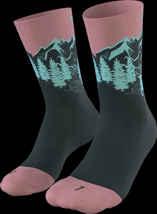 Produktbild Dynafit Stay Fast Socken Unisex (39 - 42)