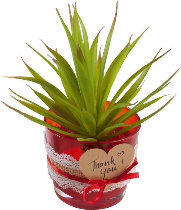 Produktbild Folia Juteband mit Spitze