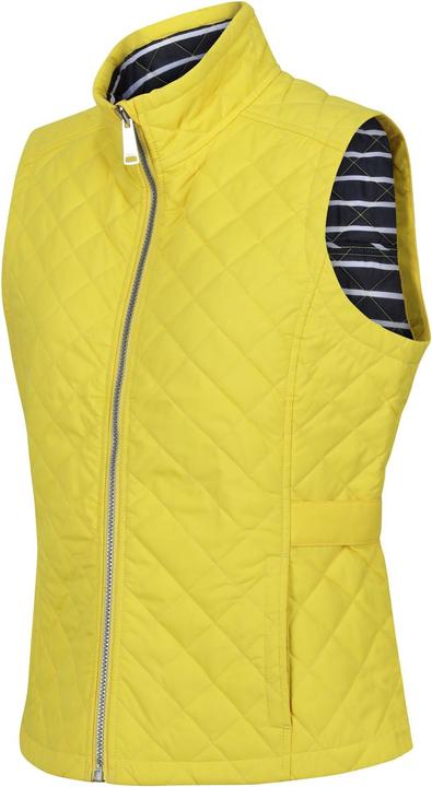 Actual product image Regatta Womens/Ladies Carmine Gilet (38 D)