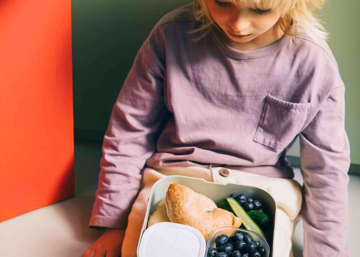 Produktbild Little Dutch Bento Lunchbox Campus Gross - Fairy Garden
