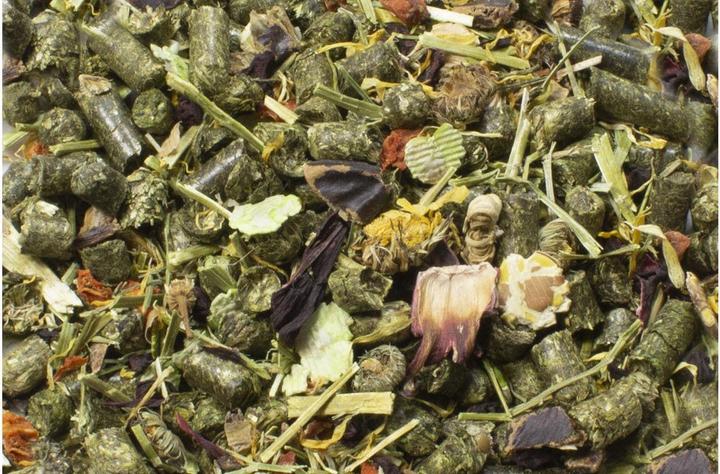Actual product image JR Farm Guinea Pig Feast (1.20 kg, 1 x)